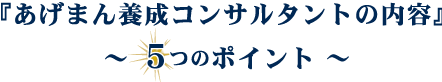 あげまん女性になる5つのポイント