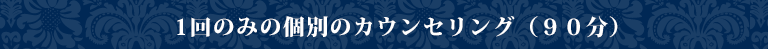 単発のコンサルティング