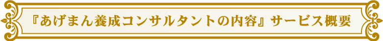 『あげまん養成コンサルタントの内容』サービス概要