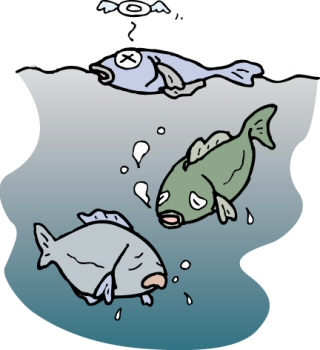 えら呼吸の魚